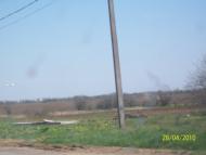 Чорнобаївка з panoramio.com