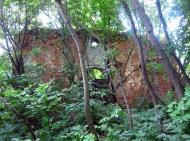 Скорики з panoramio.com