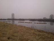 Губичі з panoramio.com