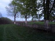 Мартинівка з panoramio.com