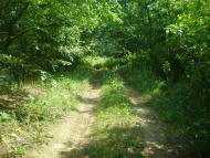 Всесвятське з panoramio.com