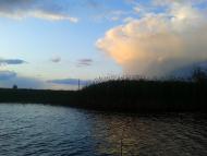 Волошки з panoramio.com