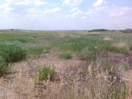 Васинівка з panoramio.com