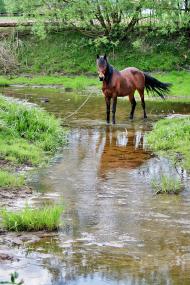 Тальки з panoramio.com
