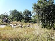 Орлівське з panoramio.com