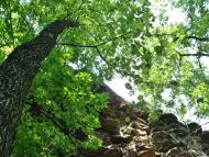 Зугрес з panoramio.com (ч.2) - Зугрэс