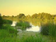 Бузьке з panoramio.com