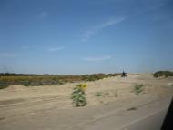 Нове з panoramio.com