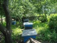 Углуватка з panoramio.com