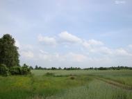 Дідівці з panoramio.com