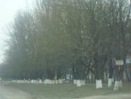 Дунаївці з panoramio.com