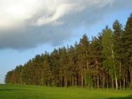 Філатове з panoramio.com