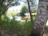 Білики з panoramio.com