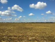 Павлівка з panoramio.com