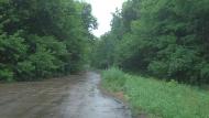 Зелене з panoramio.com