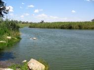 Широчани з panoramio.com