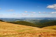 Буковець з panoramio.com