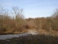 Козацьке з panoramio.com