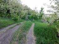 Першотравенськ з panoramio.com