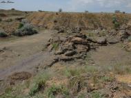 Жовтокам'янка з panoramio.com