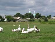 Літогоща з panoramio.com