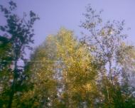 Сухоліси з panoramio.com