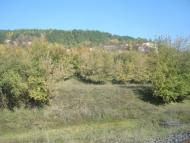 Закупне з panoramio.com