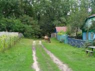 Свеса з panoramio.com