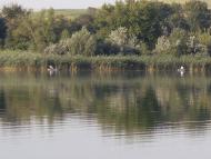 Маломиколаївка з panoramio.com