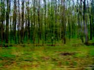 Мурзинці з panoramio.com