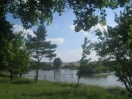 Дем'янківці - Останні фото