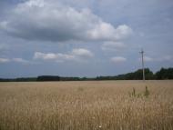 Прохорів з panoramio.com