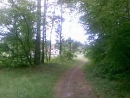 Воловики з panoramio.com