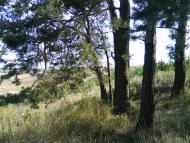 Радянське з panoramio.com