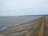 Радянське - Останні фото