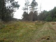 Жиричі з panoramio.com