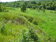 Люджа з panoramio.com