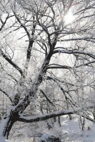 Лугини з panoramio.com