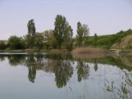 Цвіточне з panoramio.com