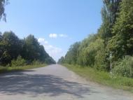 Великі Мацевичі з panoramio.com