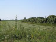 Оклі з panoramio.com