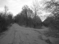 Козацьке з panoramio.com