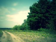 Любовичі з panoramio.com