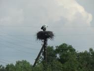 Поворськ з panoramio.com