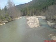 Липа з panoramio.com