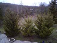 Поляна з panoramio.com