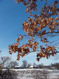 Дудківка з panoramio.com