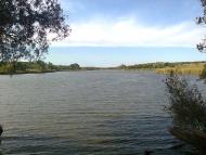 Зелене з panoramio.com