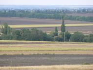 Орлинське з panoramio.com