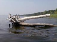 Радянське з panoramio.com